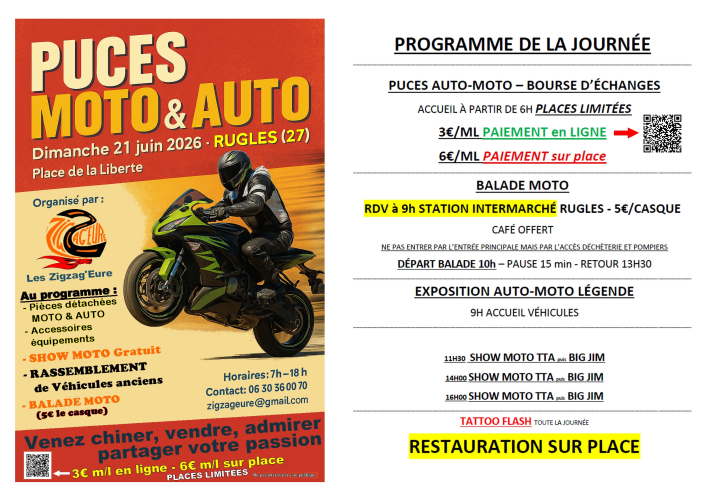 affiche-a4-puces-et-programme